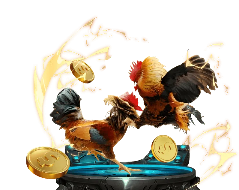 Đá gà truyền thống Việt Nam